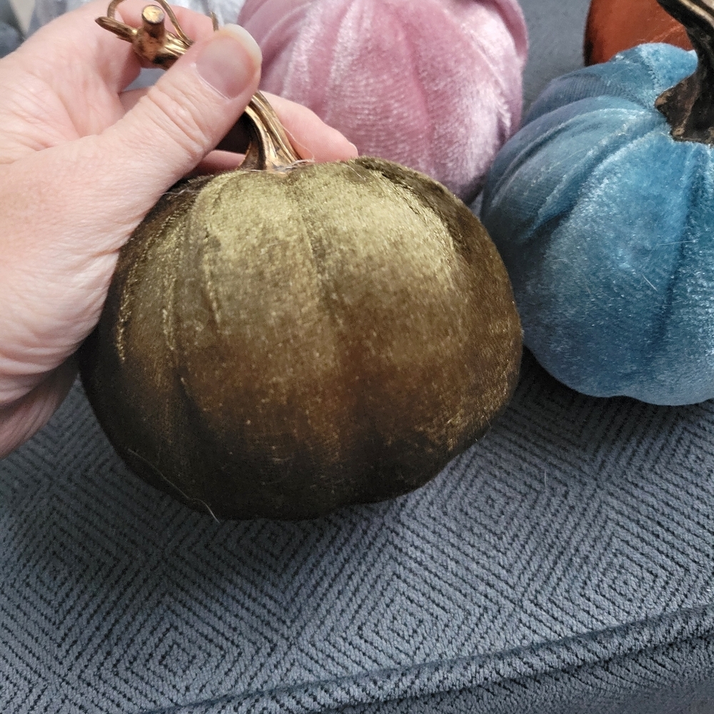 Set of 6 Dollar Tree Velvet Pumpkins - Picture 7 of 9